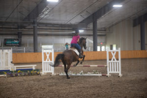 Houghton Equestrian Center Project - Kinley Corp